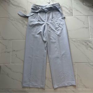 Ann Taylor Tie Waist Wide Leg Pant